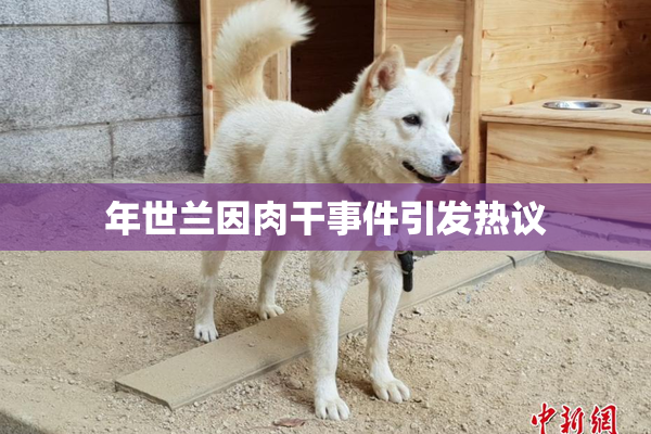 年世兰因肉干事件引发热议