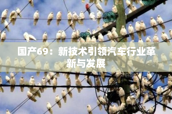 国产69：新技术引领汽车行业革新与发展