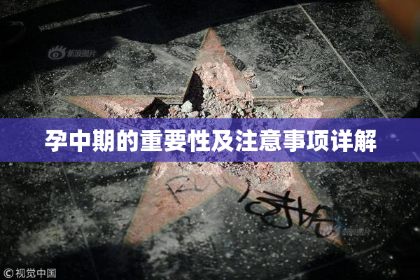 孕中期的重要性及注意事项详解