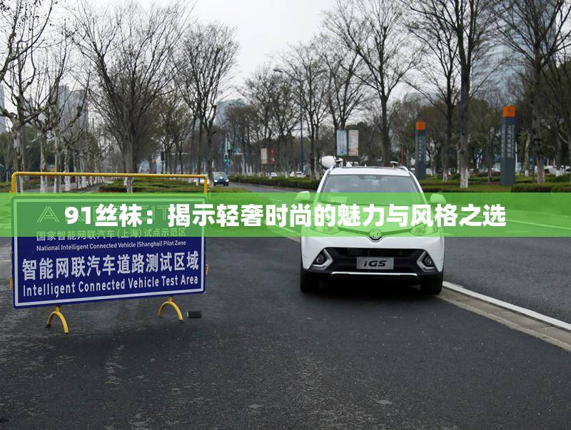 91丝袜：揭示轻奢时尚的魅力与风格之选