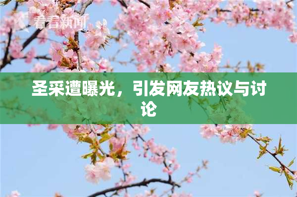 圣采遭曝光，引发网友热议与讨论