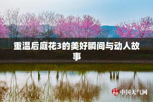 重温后庭花3的美好瞬间与动人故事