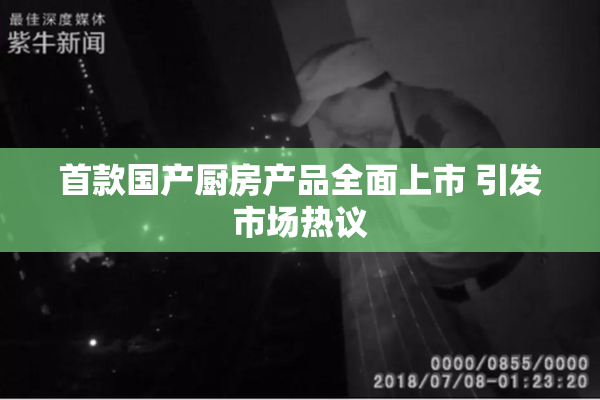首款国产厨房产品全面上市 引发市场热议