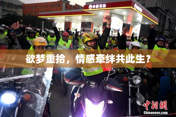 欲梦重拾，情感牵绊共此生？
