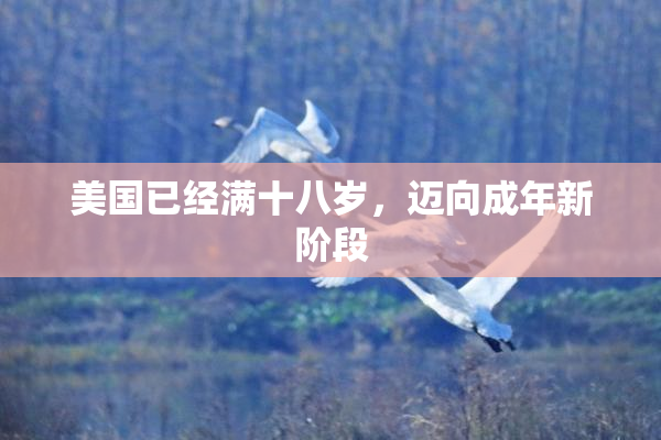 美国已经满十八岁，迈向成年新阶段