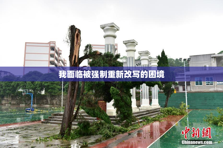 我面临被强制重新改写的困境