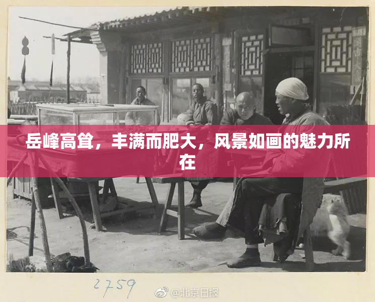 岳峰高耸，丰满而肥大，风景如画的魅力所在