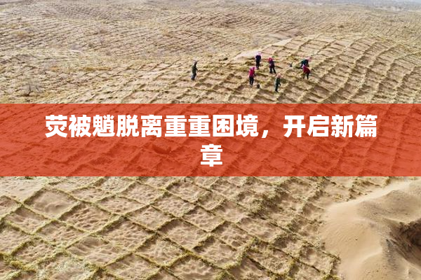 荧被魈脱离重重困境，开启新篇章