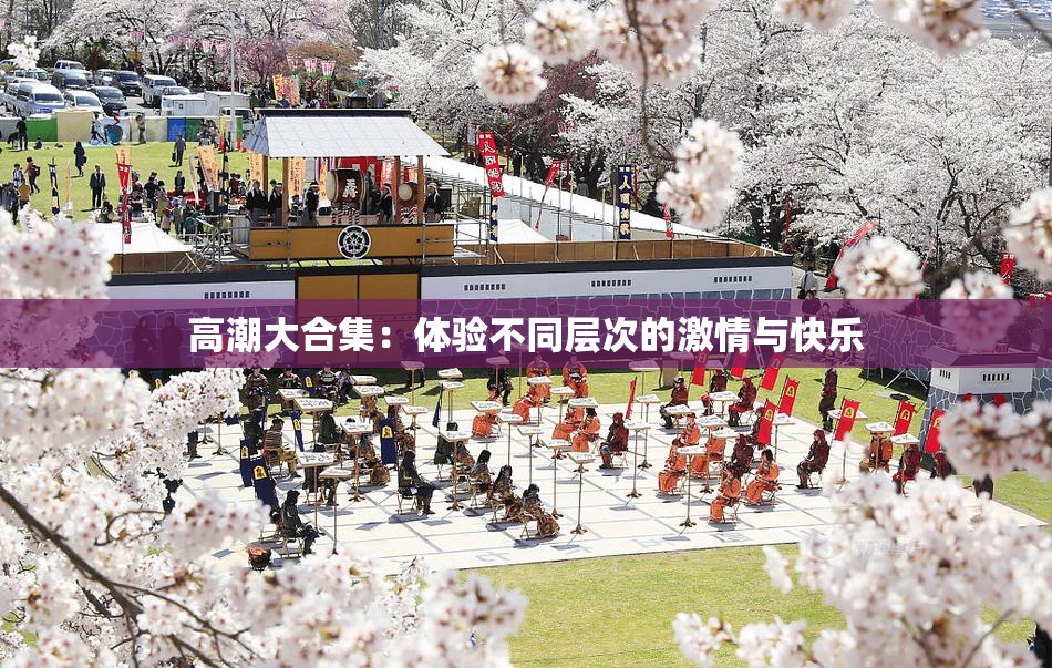 高潮大合集：体验不同层次的激情与快乐