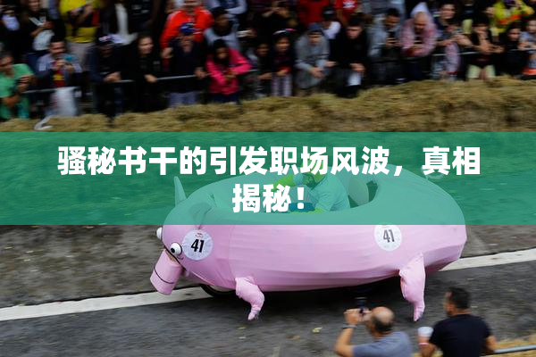 骚秘书干的引发职场风波，真相揭秘！