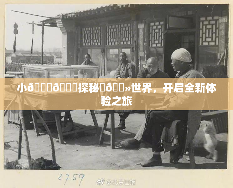 小🐔🐔探秘‌🐻世界，开启全新体验之旅