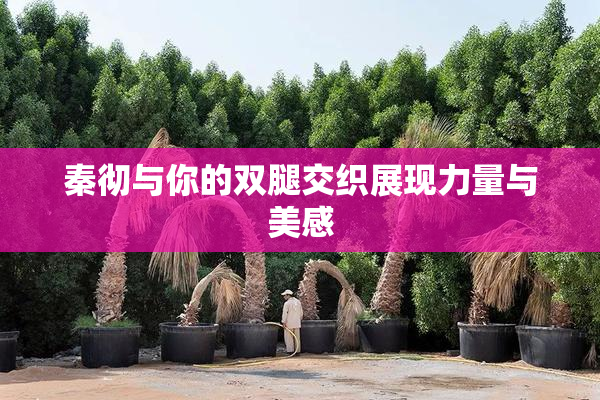 秦彻与你的双腿交织展现力量与美感