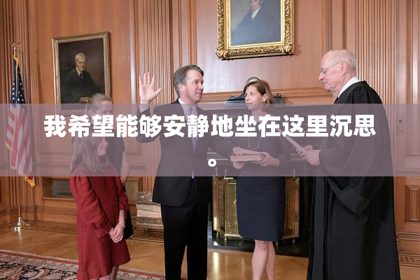 我希望能够安静地坐在这里沉思。