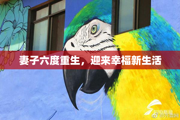 妻子六度重生，迎来幸福新生活