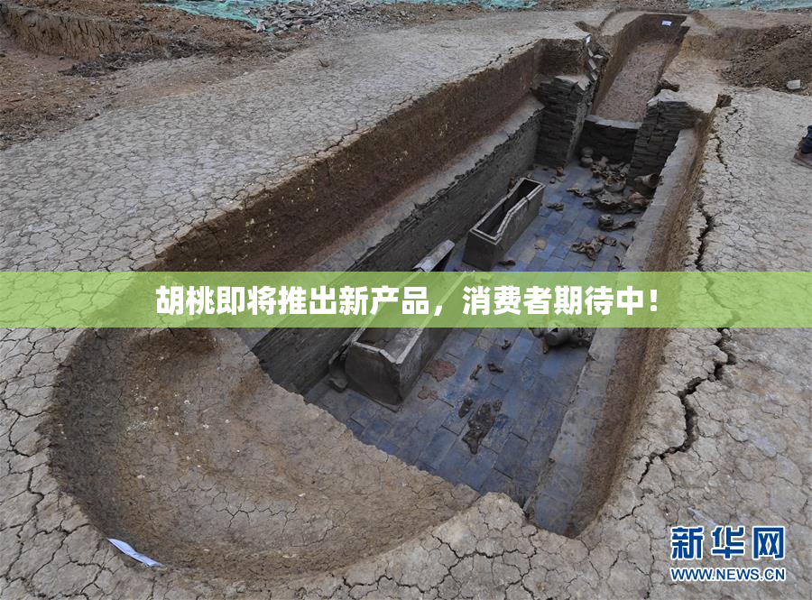 胡桃即将推出新产品，消费者期待中！