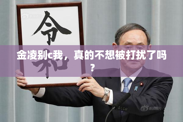 金凌别c我，真的不想被打扰了吗？