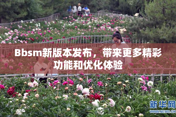 Bbsm新版本发布，带来更多精彩功能和优化体验