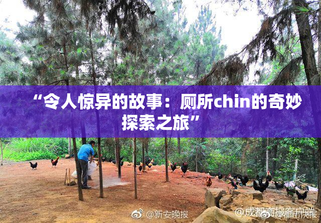 “令人惊异的故事：厕所chin的奇妙探索之旅”