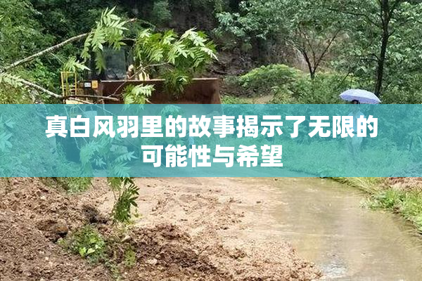 真白风羽里的故事揭示了无限的可能性与希望