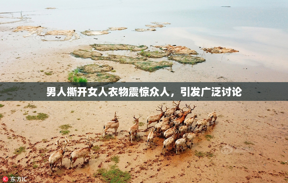 男人撕开女人衣物震惊众人，引发广泛讨论