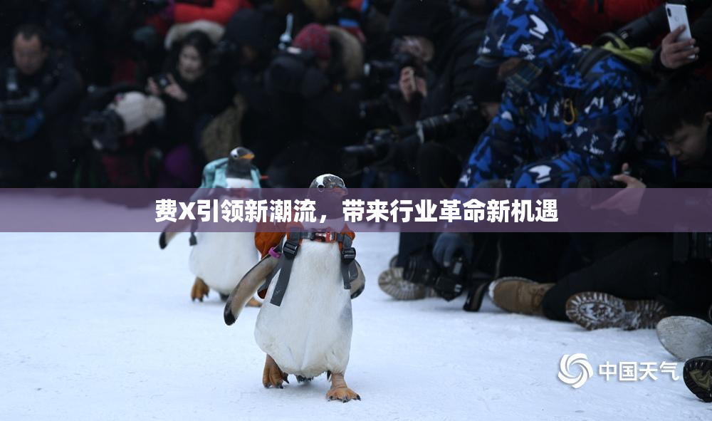 费X引领新潮流，带来行业革命新机遇