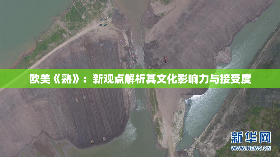 欧美《熟》：新观点解析其文化影响力与接受度