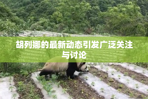 胡列娜的最新动态引发广泛关注与讨论