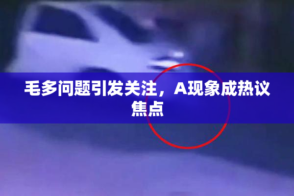 毛多问题引发关注，A现象成热议焦点