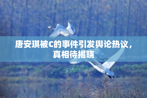 唐安琪被C的事件引发舆论热议，真相待揭晓