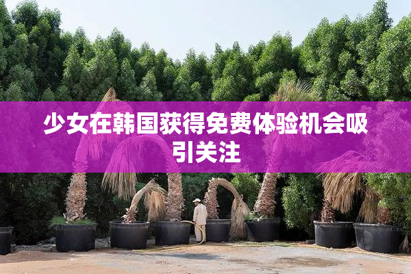 少女在韩国获得免费体验机会吸引关注