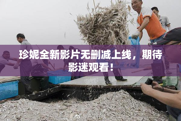 珍妮全新影片无删减上线，期待影迷观看！