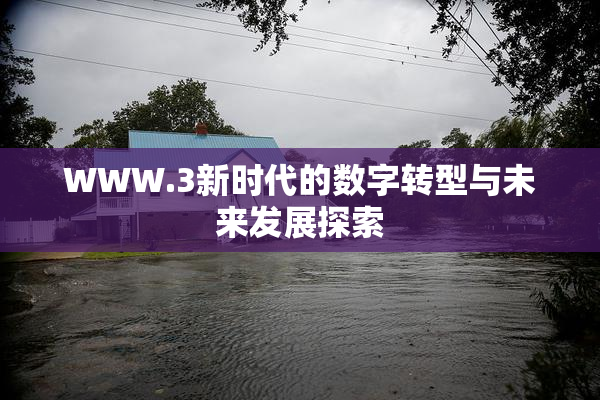 WWW.3新时代的数字转型与未来发展探索