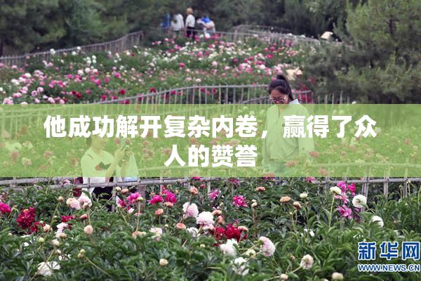 他成功解开复杂内卷，赢得了众人的赞誉