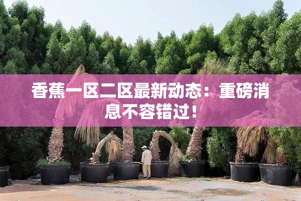 香蕉一区二区最新动态：重磅消息不容错过！