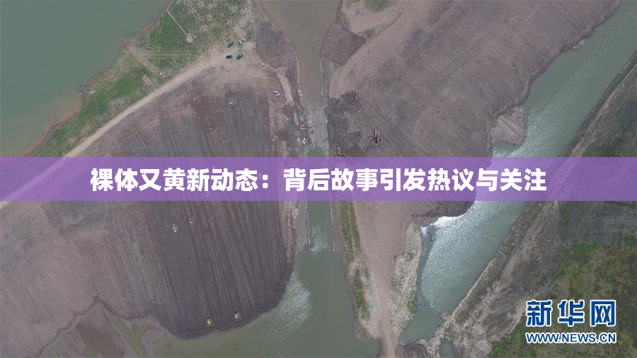 裸体又黄新动态：背后故事引发热议与关注
