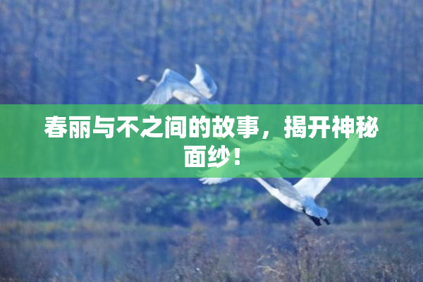 春丽与不之间的故事，揭开神秘面纱！