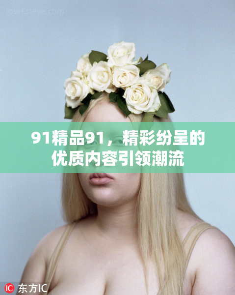 91精品91，精彩纷呈的优质内容引领潮流