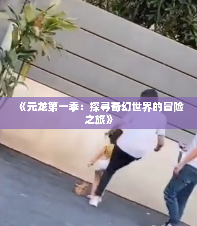 《元龙第一季：探寻奇幻世界的冒险之旅》