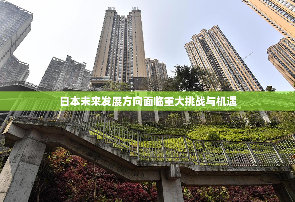 日本未来发展方向面临重大挑战与机遇