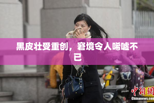 黑皮壮受重创，窘境令人唏嘘不已