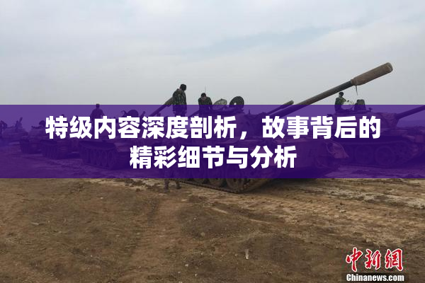 特级内容深度剖析，故事背后的精彩细节与分析