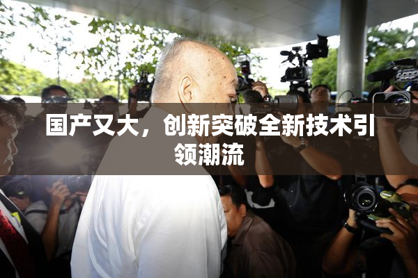 国产又大，创新突破全新技术引领潮流