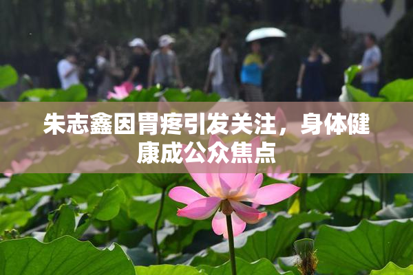 朱志鑫因胃疼引发关注，身体健康成公众焦点
