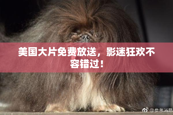 美国大片免费放送，影迷狂欢不容错过！