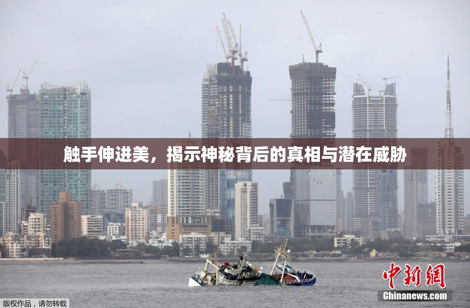 触手伸进美，揭示神秘背后的真相与潜在威胁