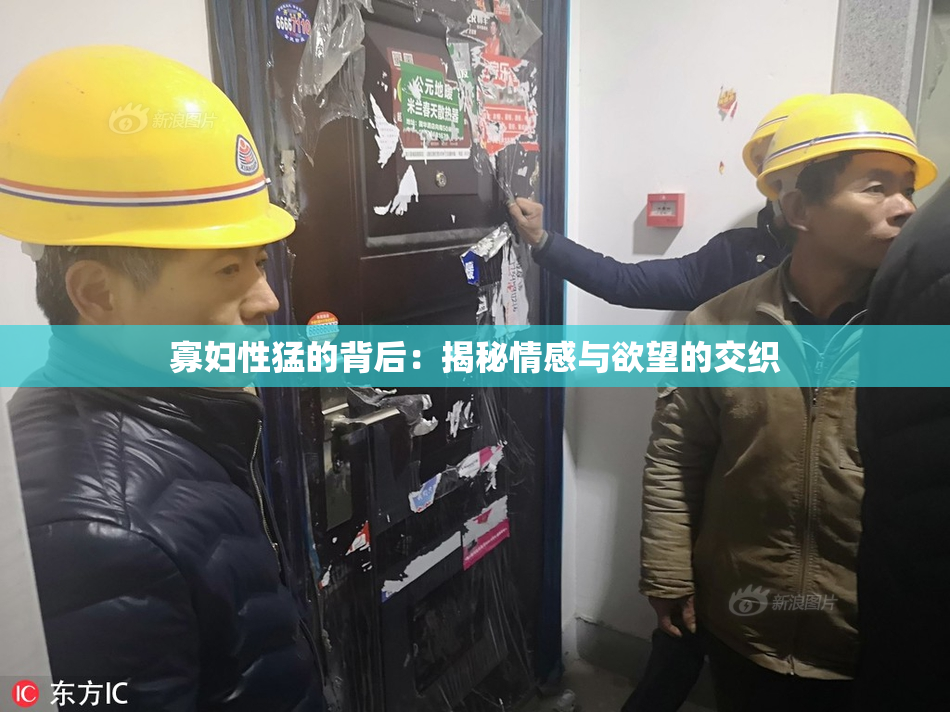 寡妇性猛的背后：揭秘情感与欲望的交织