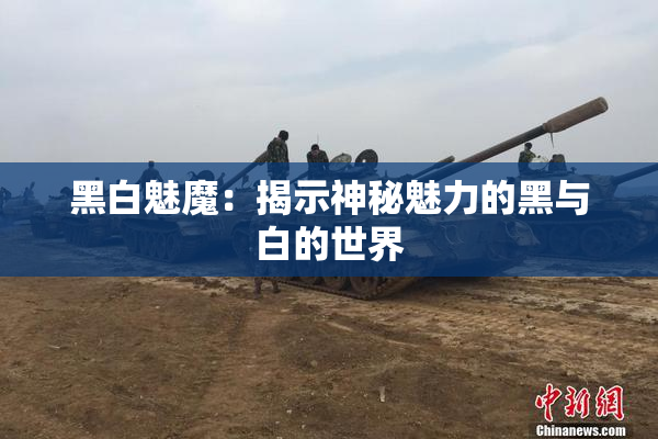 黑白魅魔：揭示神秘魅力的黑与白的世界
