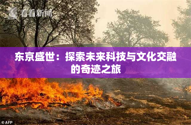 东京盛世：探索未来科技与文化交融的奇迹之旅