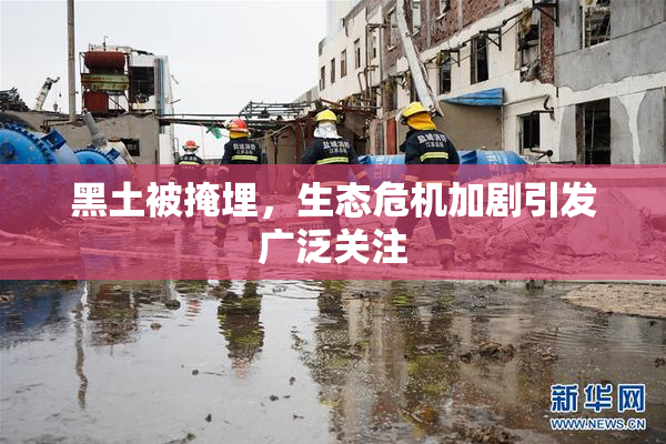 黑土被掩埋，生态危机加剧引发广泛关注