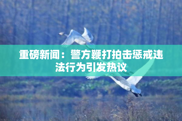 重磅新闻：警方鞭打拍击惩戒违法行为引发热议
